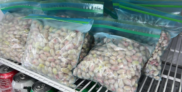 Pinto Beans - Image 3